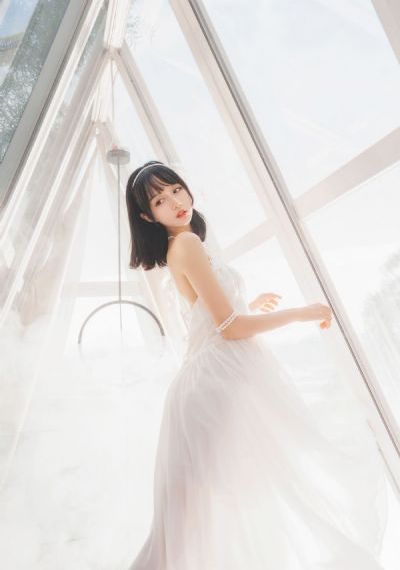后宫露营动漫樱花在线观