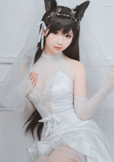 汪汪队立大功动画片全集