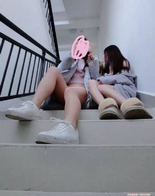 玛丽 玛丽
