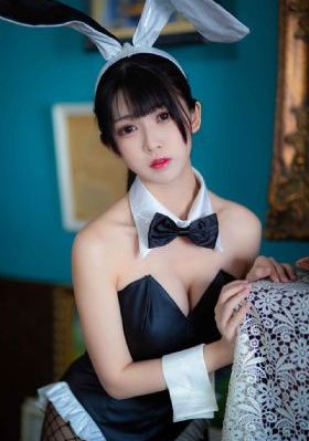 全职大盗